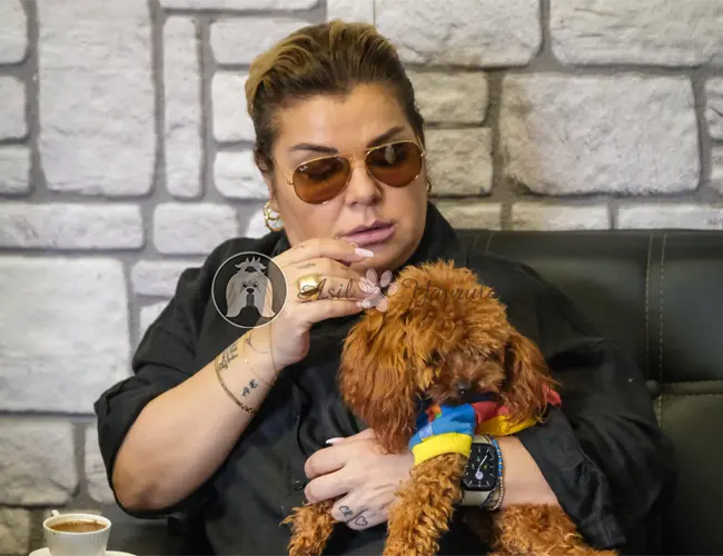 Elif Karlı, Asil Yavrular'dan sahiplendiği Poodle yavru köpeğiyle