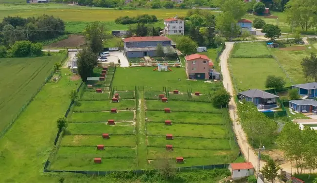 Asil Yavrular tesisi tanıtım videosu
