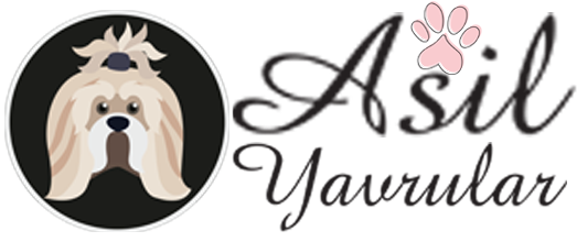 Asil Yavrular