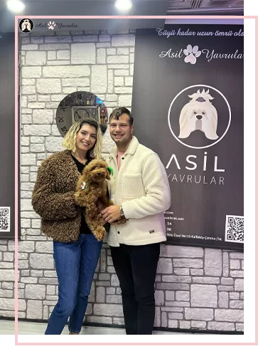 Berke Bey Maltipoo Yavrumuzla Buluştu