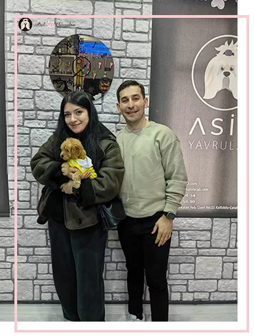 Duygu Hanım Maltipoo Yavrumuzla Buluştu