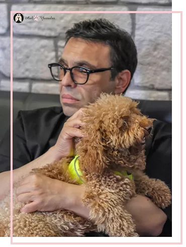 Okan Bey Maltipoo Yavrumuzla Tanıştı